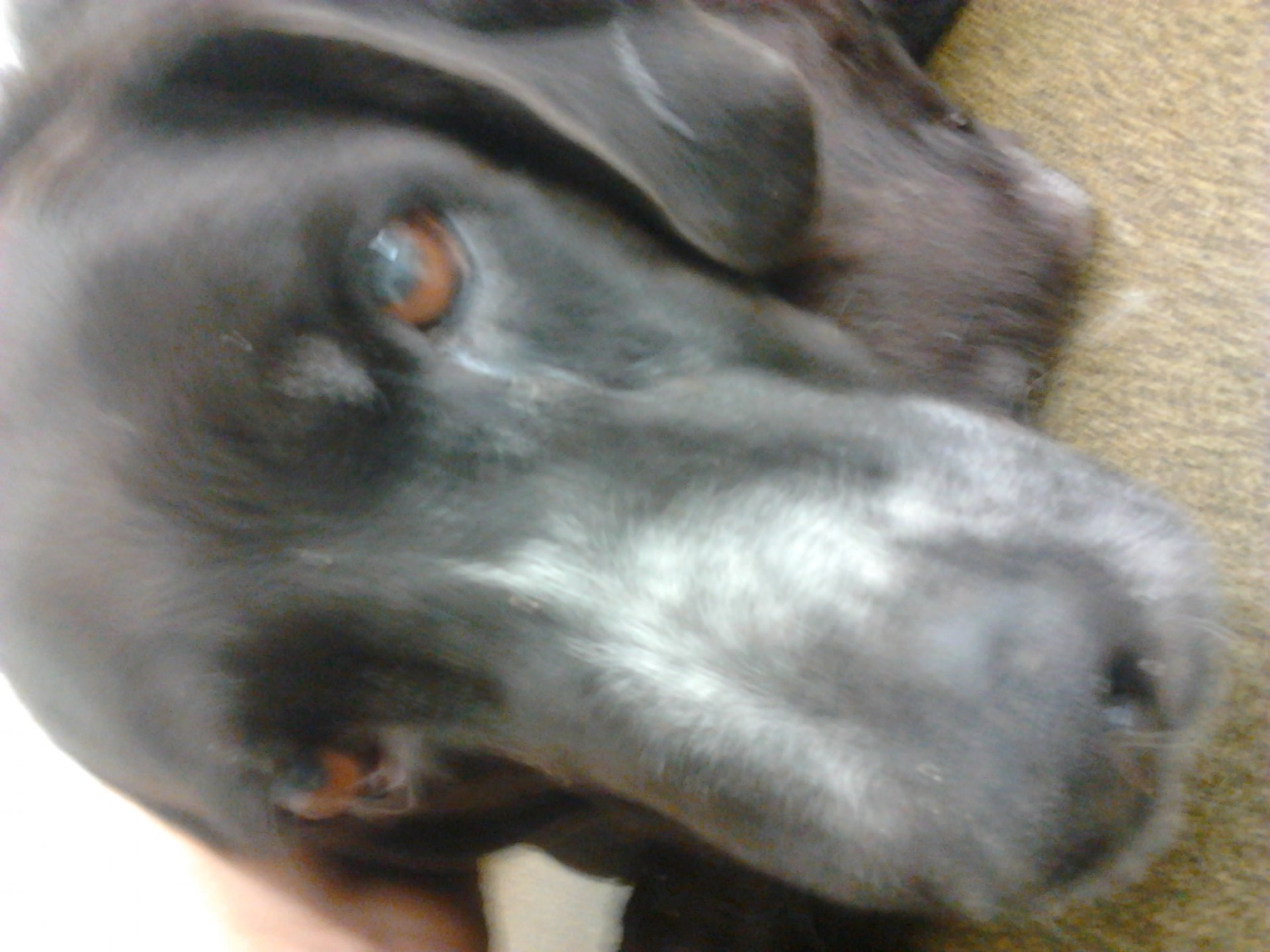 Photo0962